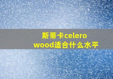 斯蒂卡celero wood适合什么水平